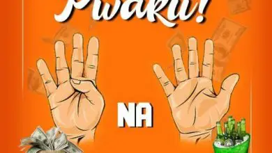 4 Na 5 – Pwaku