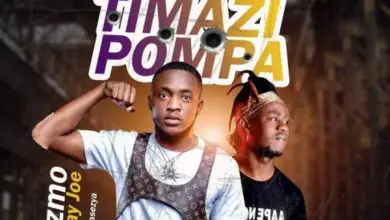 Dizmo ft. Kay Joe - Timazi Pompa "Mp3"