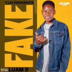 Luam D - Fake