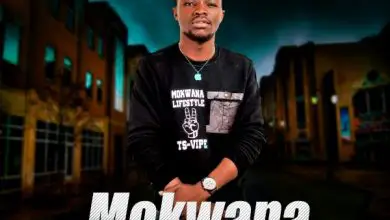 TS Vipe - Mokwana (Freestyle)