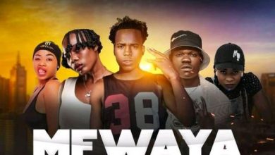 Y Celeb ft. Deborah, Trinah South, Apa Ni Chanda & Brisky – Mfwaya Nkufwaye