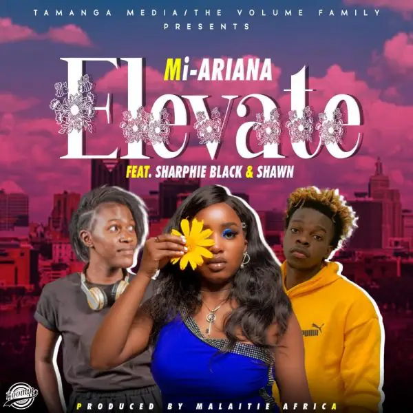 Mi-Ariana ft. Sharphie Black & Shawn - Elevate