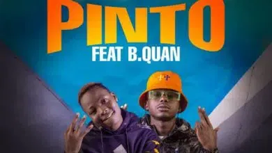 Chile Breezy ft. B Quan - Pinto