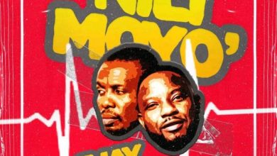 F Jay Ft Izrael - Nili Moyo