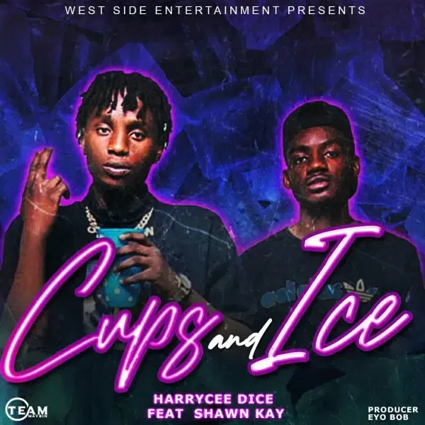 HarryCee Dice ft. Shawn Kay - Cups and Ice