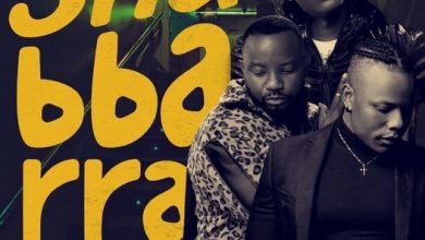 Willz Mr Nyopole ft. F Jay & Bow Chase – Shabbarra (Remix)