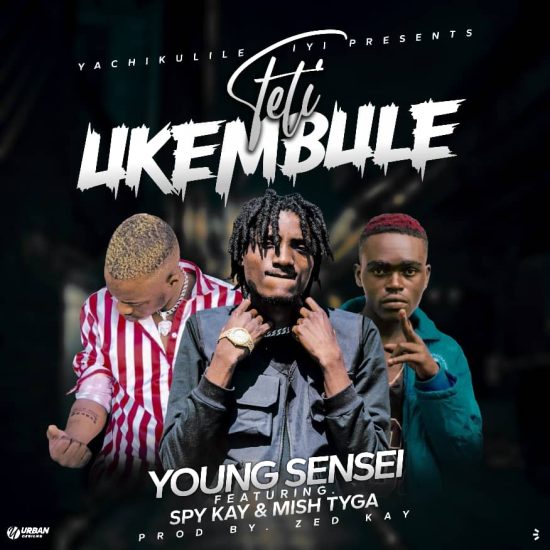 Young Sensei Ft. Spy Kay & Mish Tyga - Teti Ukembule Mp3 Download