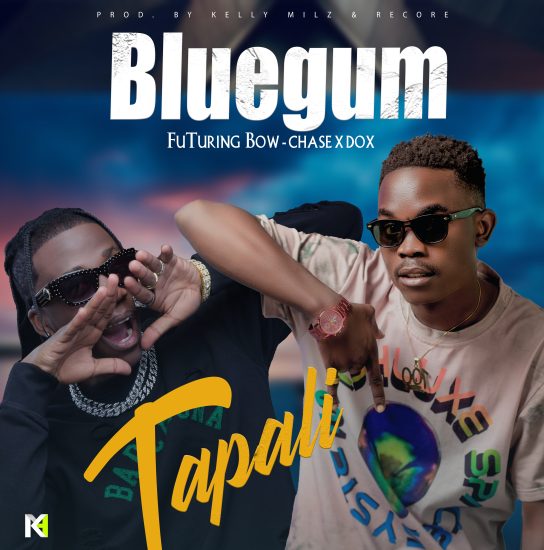 Bluegum Ft. Bow Chase - Tapali Mp3 Download