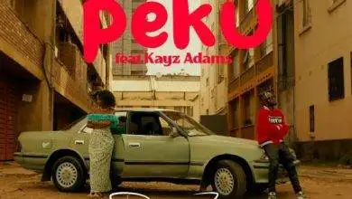 Dipsy Zam ft. Kayz Adams – Peku Mp3 Download