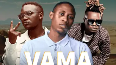 Steve Jay ft Triple M & Dizmo - Vama Love Mp3 Download