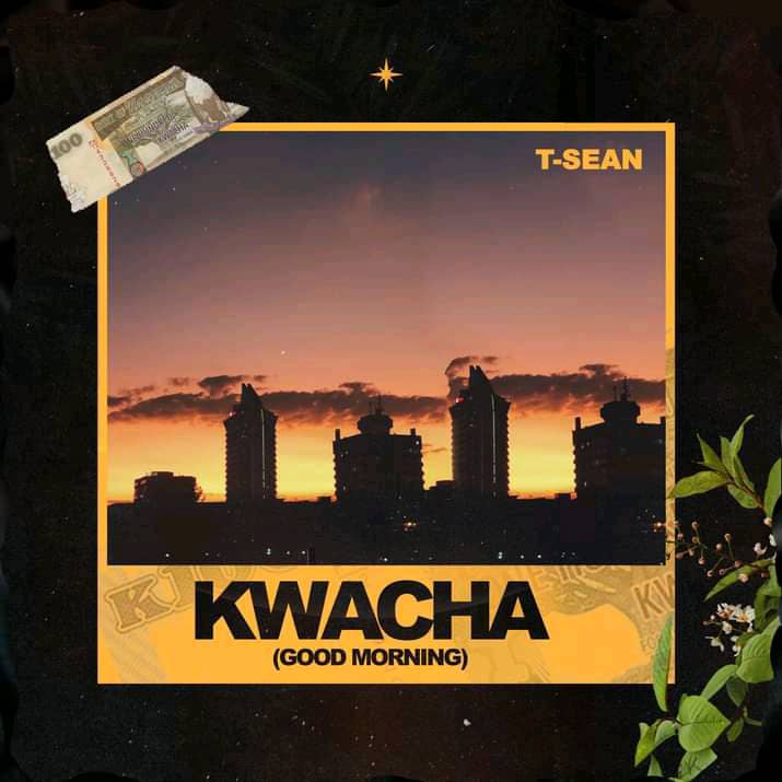 T Sean - Ungrateful Mp3 Download