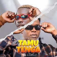 Kineo & Aidfest - Tamutenga Mp3 Download