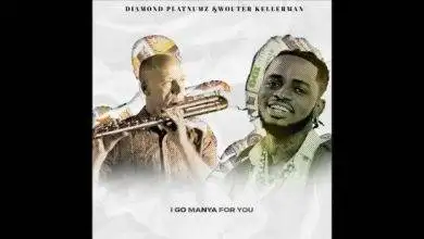 Diamond Platnumz & Wouter Kellerman - Dollars & Paris Mp3 Download