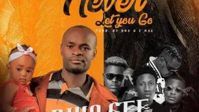 Niko Gee ft Drifta Trek, Dizmo, Jae Cash, Keem - Never Let You Go Mp3 Download