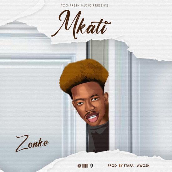 Zonke Too Fresh - Mkati Mp3 Download