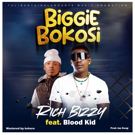 Rich Bizzy Ft Blood Kid – Biggie Bokosi Mp3 Download