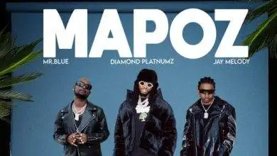 Diamond - Mapozi Mp3 Download