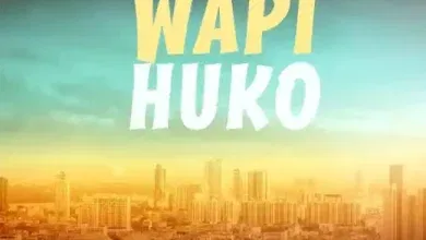 Nay Wa Mitego - Wapi Huko Mp3 Download