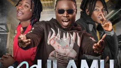 Celeb City Ft. JC Kalinks – Iyo Ine Mulamu Mp3 Download