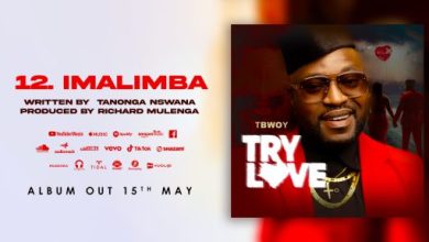 T Bwoy - Imalimba Mp3 Download