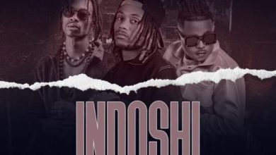 3P (4 Na 5) Ft Flex Zm & T Sean – Indoshi Mp3 Download